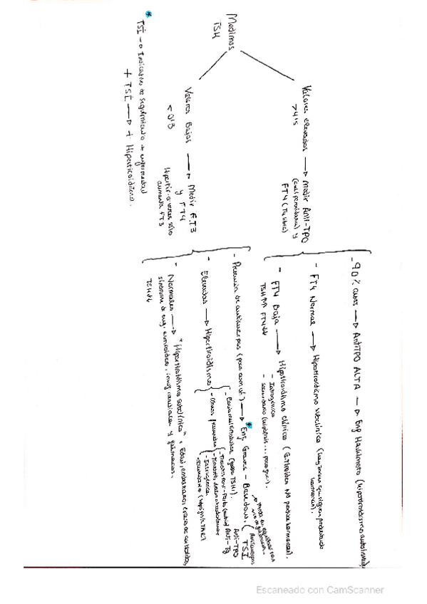 Miniatura del documento Estudio-de-la-TSH.pdf