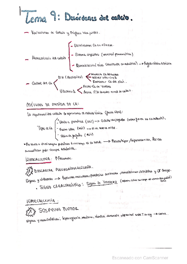 Miniatura del documento Desordenes-del-calcio.pdf