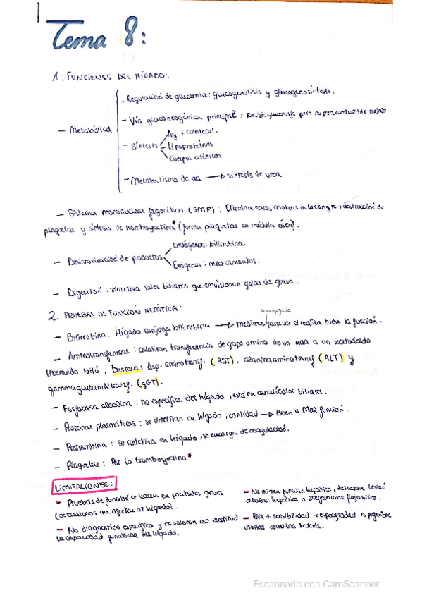 Miniatura del documento Estudio-funcion-del-higado.pdf
