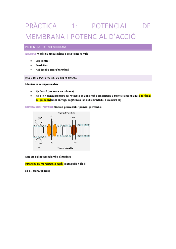 Miniatura del documento Practica-FH-potencial-de-membrana-i-potencial-accio.pdf
