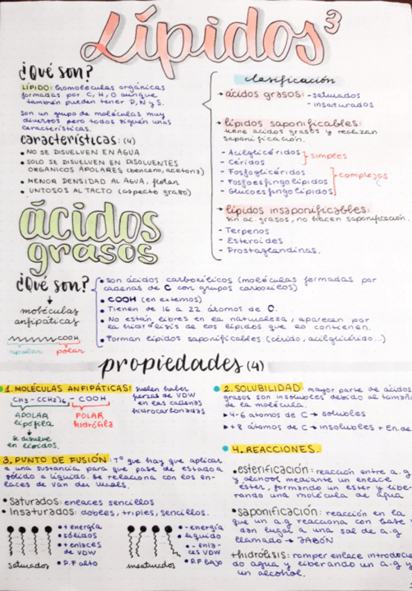 Miniatura del documento tema-3-LIPIDOS-2-BACHILLERATO.pdf