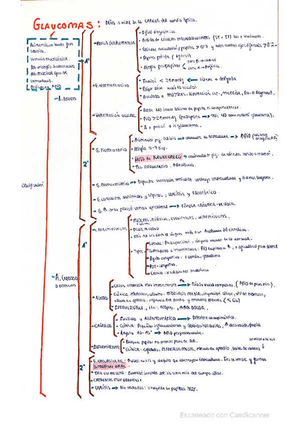 Miniatura del documento Buen-esquema-de-GLAUCOMA.pdf