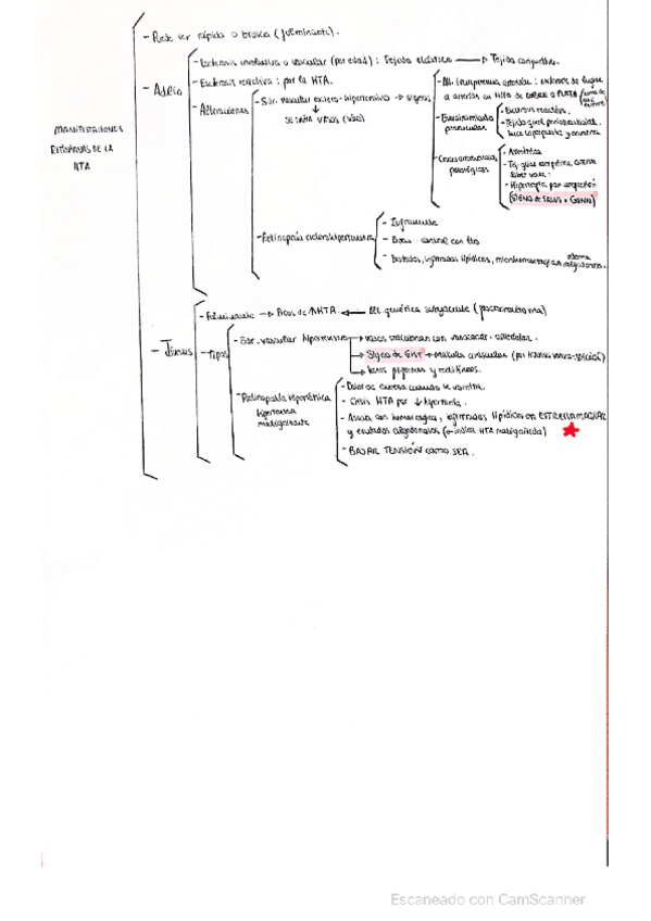 Miniatura del documento Esquemas-de-las-manifestaciones-retinianas-de-la-HTA.pdf