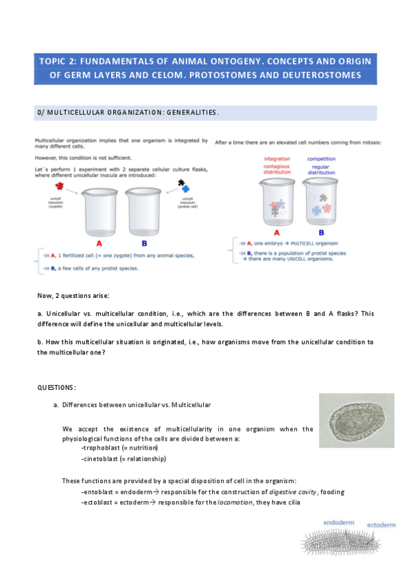 Miniatura del documento Zoology-Topic-2.pdf