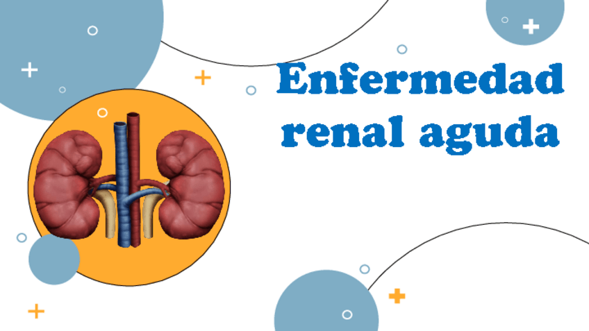 Miniatura del documento enfermedad-renal-aguda.pdf