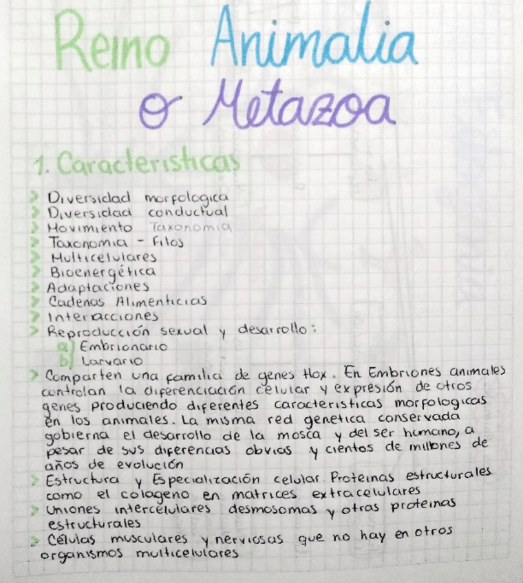 Miniatura del documento REINO-ANIMAL.pdf