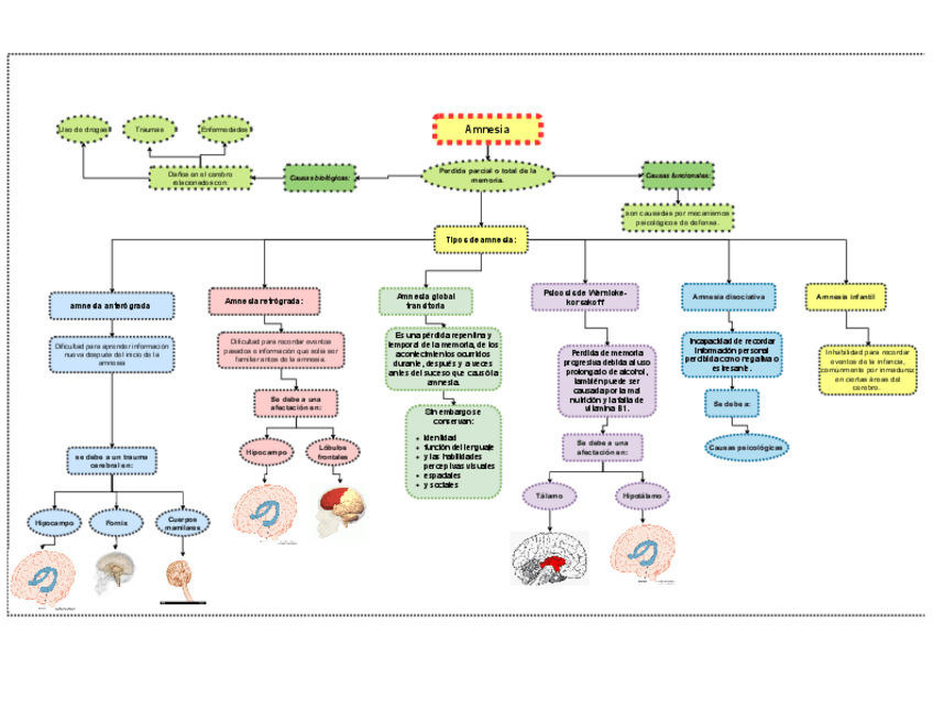 Miniatura del documento amnesia-mapa.pdf