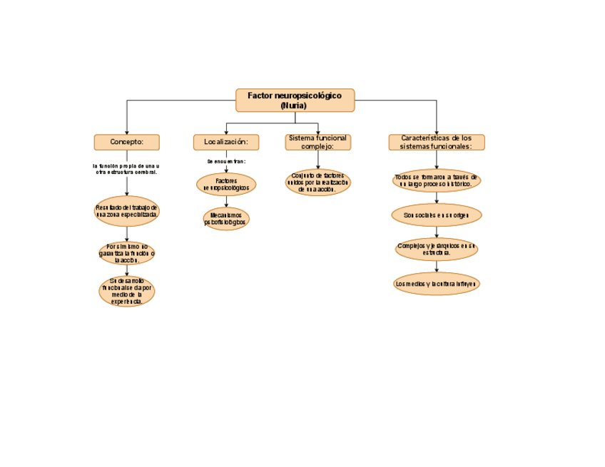 Miniatura del documento factor-neuropsicologico-NURIA.pdf