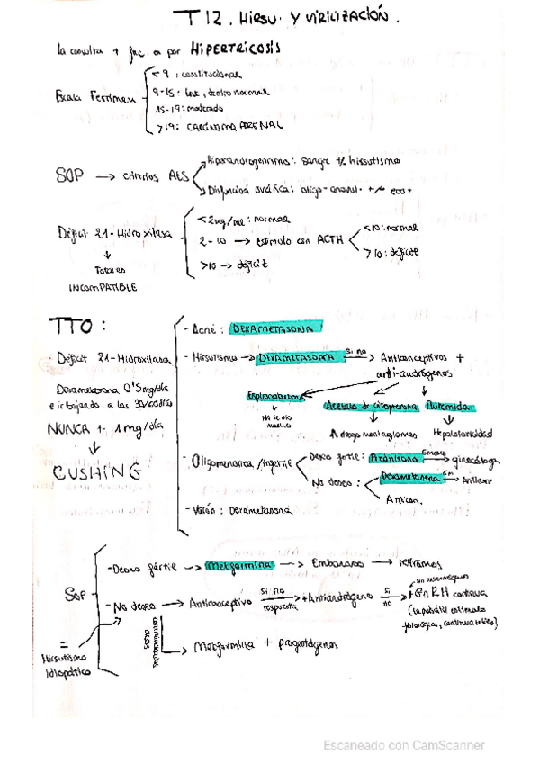 Miniatura del documento Esquema-del-hirsutismo-y-virilizacion.pdf