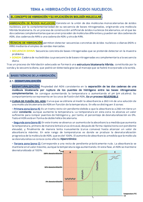 Miniatura del documento TEMA-4.pdf