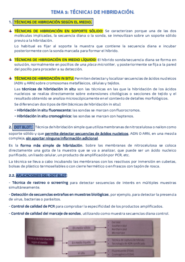Miniatura del documento TEMA-5.pdf