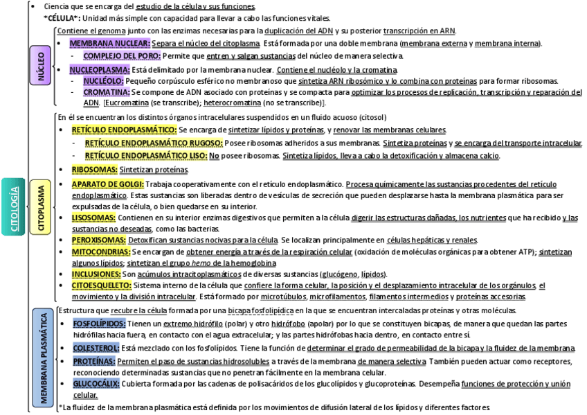 Miniatura del documento Esquema-de-citologia.pdf