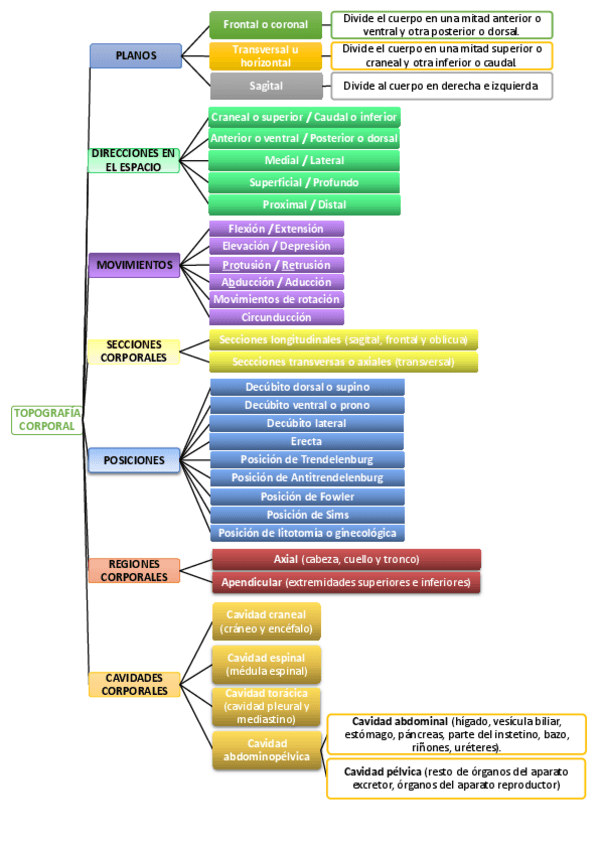 Miniatura del documento Esquema-topografia-corporal.pdf
