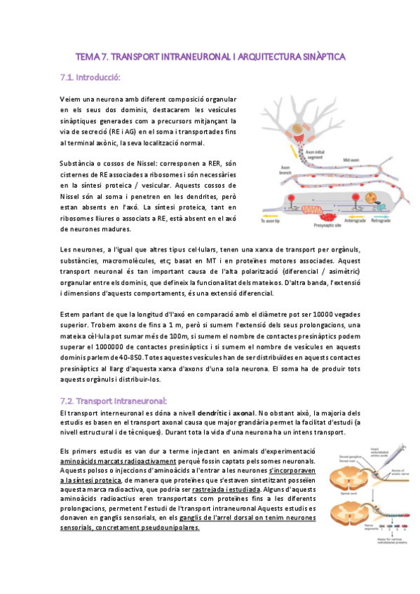 Miniatura del documento NEUROBIOLOGIA-tema-7.pdf