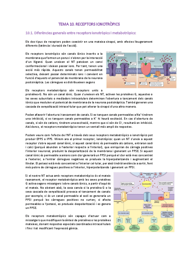 Miniatura del documento NEUROBIOLOGIA-tema-10.pdf
