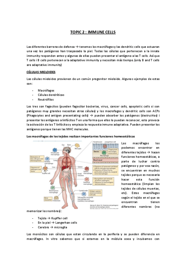 Miniatura del documento IMMUNOLOGY-tema-2.pdf