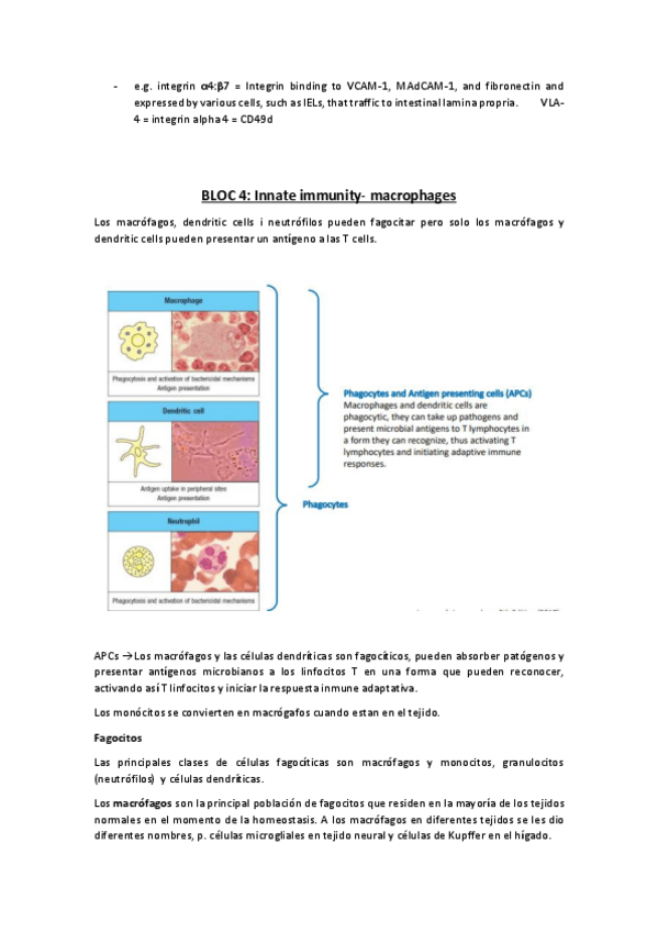 Miniatura del documento IMMUNOLOGY-tema-4.pdf