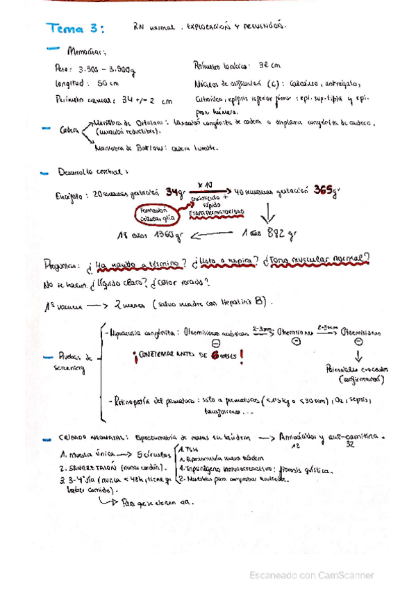 Miniatura del documento Recien-nacido-normal-exploracion.pdf