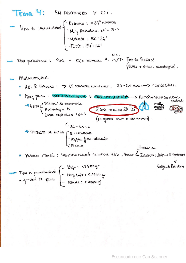 Miniatura del documento Recien-nacido-prematuro-y-CRI.pdf