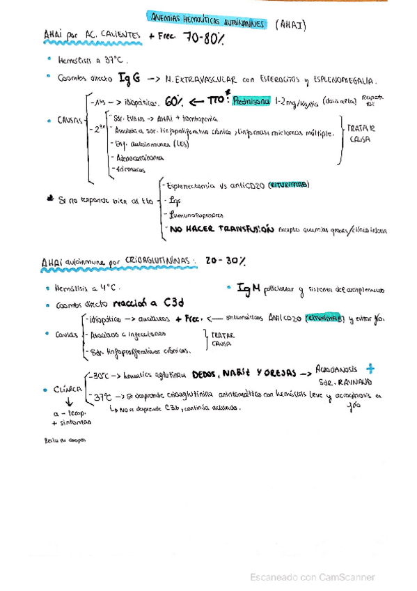 Miniatura del documento Anemias-hemoliticas-autoinmunes.pdf
