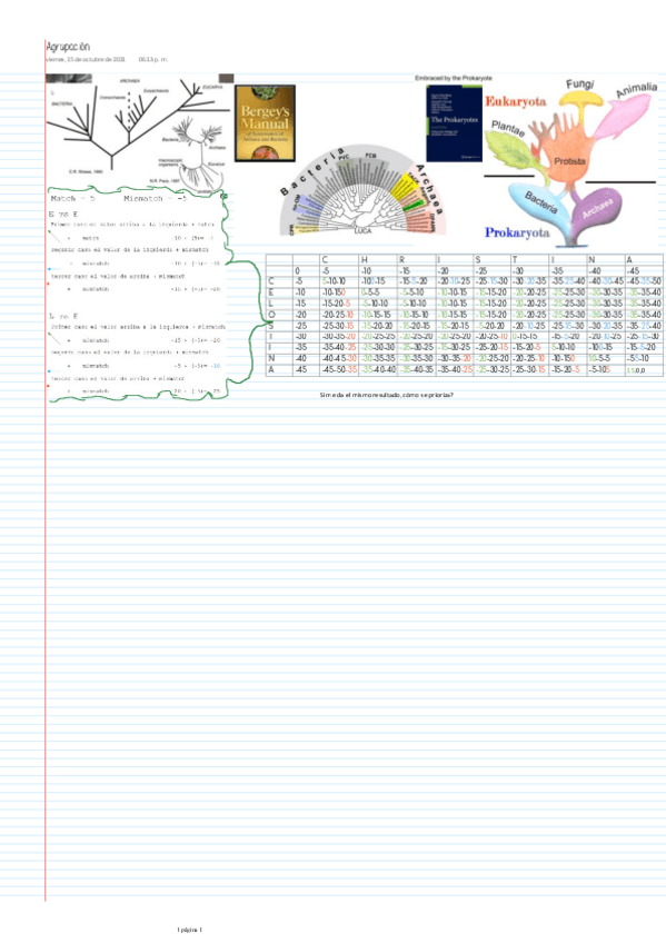 Miniatura del documento Arbol-filogenetico-y-tabla-de-match-y-mismatch.pdf