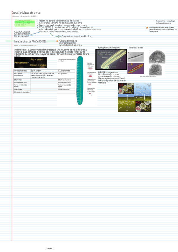 Miniatura del documento Caracteristicas-de-la-vida.pdf