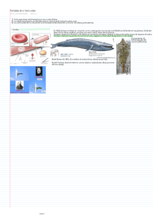 Miniatura del documento Postulados-de-la-teoria-celular-y-tamanos-de-la-vida.pdf