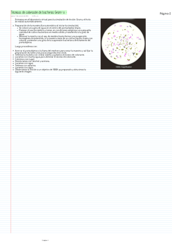 Miniatura del documento Practica-Tecnicas-de-coloracion-de-bacterias-Gramp-o-n.pdf