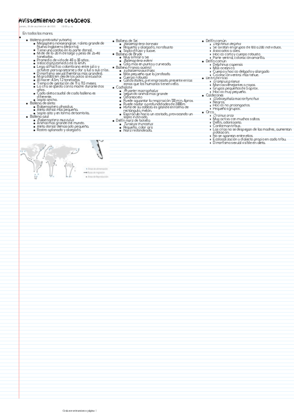 Miniatura del documento Avistamiento-de-cetaceos.pdf