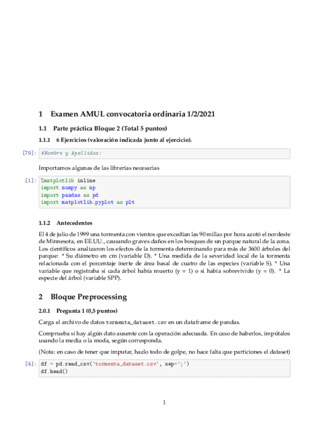 Miniatura del documento EXAMENPYTHONENERO21.pdf