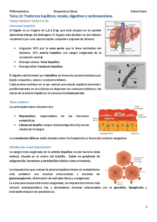 Miniatura del documento Tema-10-Trastornos-hepaticos-renales-digestivos-y-cardiovasculares.pdf