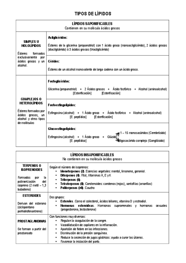 Miniatura del documento Tipos-de-lipidos.pdf