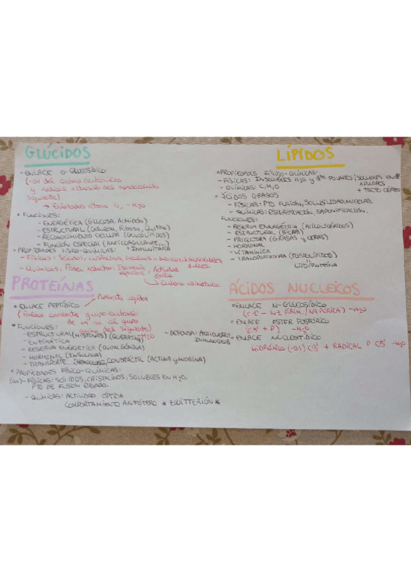 Miniatura del documento Resumen-BIOQUIMICA.pdf