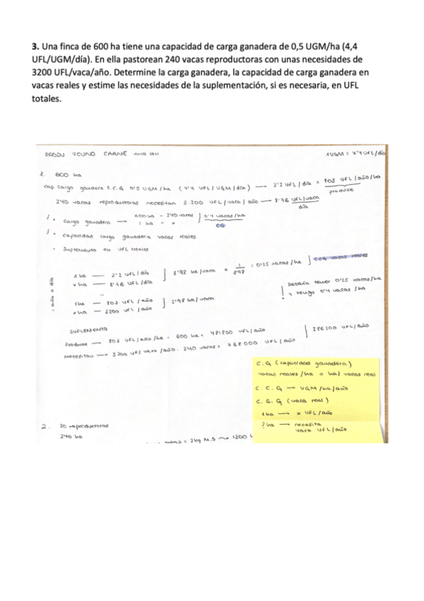 Miniatura del documento PRODU-VAC-CARNE-problemas-examenes.pdf