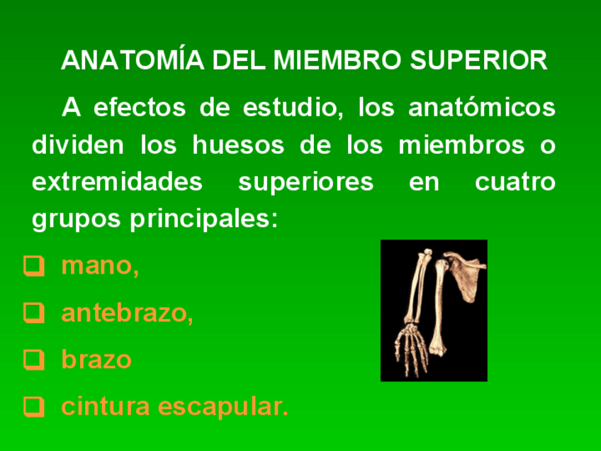 Miniatura del documento Documento-PDF.pdf