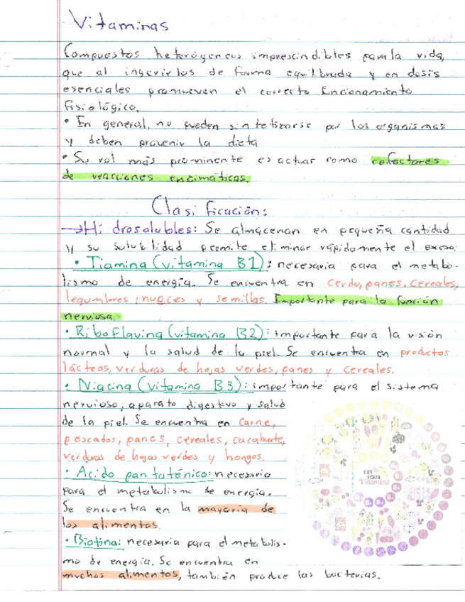 Miniatura del documento Resumen-Vitaminas.pdf