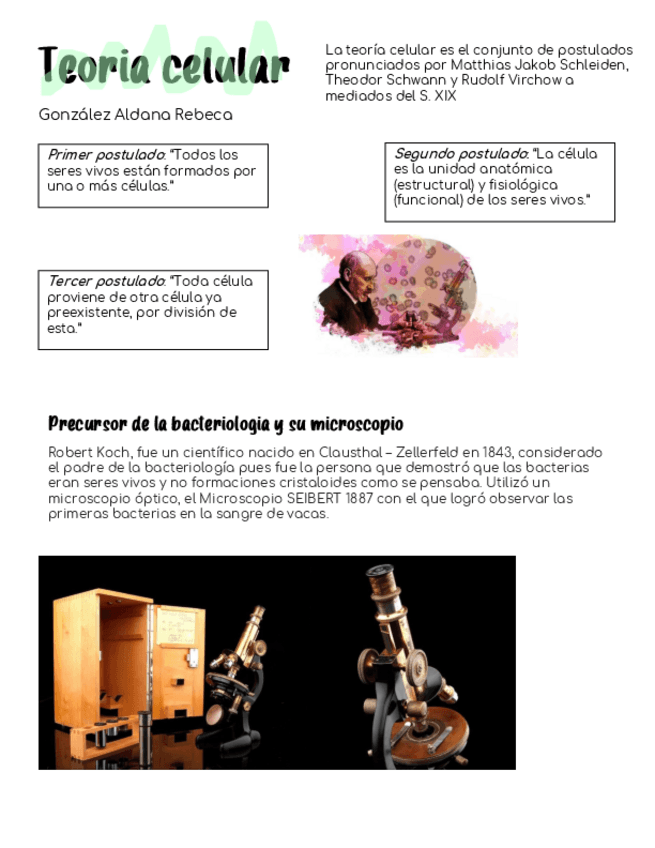Miniatura del documento GonzalezRTeoria-celular.pdf