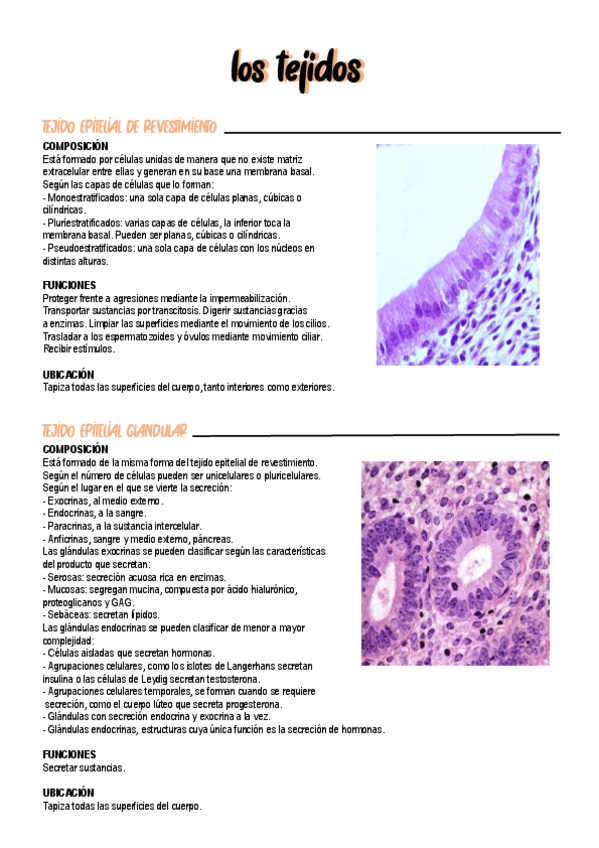 Miniatura del documento T3.pdf