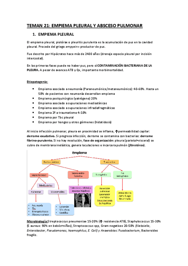 Miniatura del documento TEMA-21-empiema.pdf