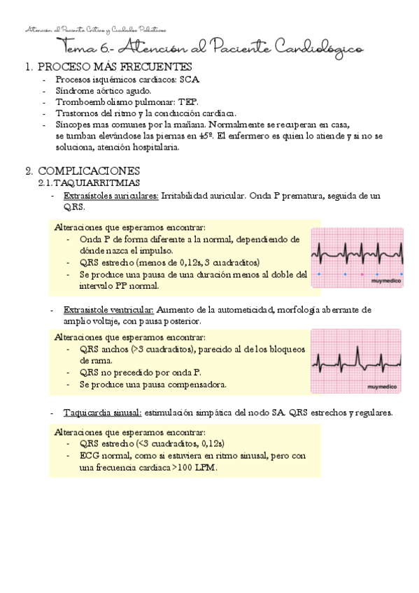 Miniatura del documento Tema-6-Atencion-al-Paciente-Critico-y-Cuidados-Paliativos.pdf