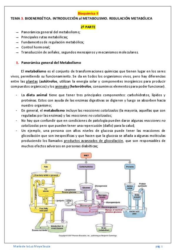 Miniatura del documento BQ-II-Temas-3-7.pdf