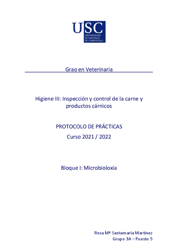 Miniatura del documento SantamariaMartinezRosaMPracticas.pdf