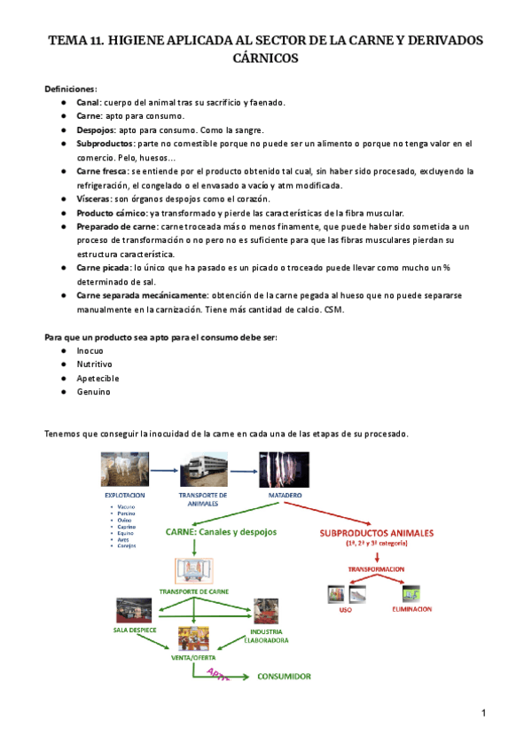 Miniatura del documento TEMA-11.pdf