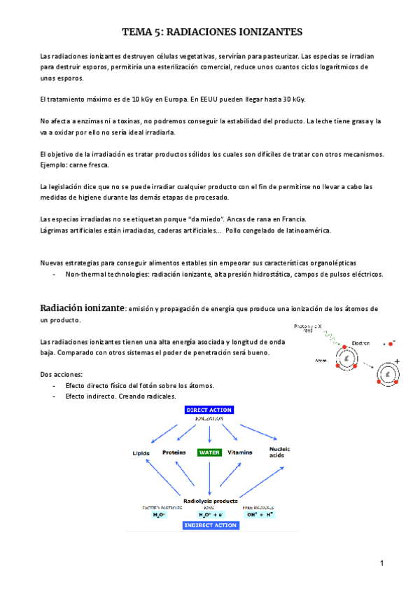 Miniatura del documento TEMA-5-RADIACIONES-IONIZANTES.pdf