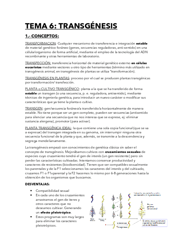 Miniatura del documento Tema-6-Trangenesis COMPLETO