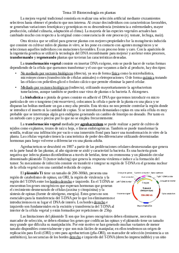Miniatura del documento Tema-10-biotecnologia-en-plantas.pdf