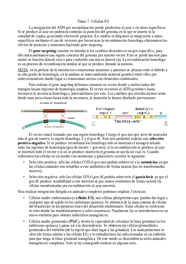 Miniatura del documento Tema-6-2-celulas-ES.pdf
