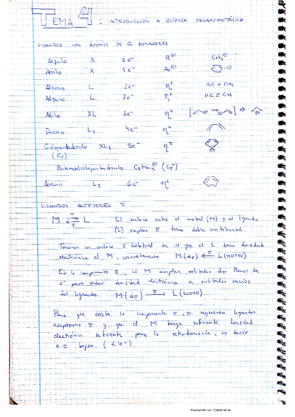 Miniatura del documento Inorganica-II-t4.pdf