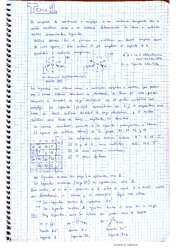 Miniatura del documento Inorganica-II-t1.pdf