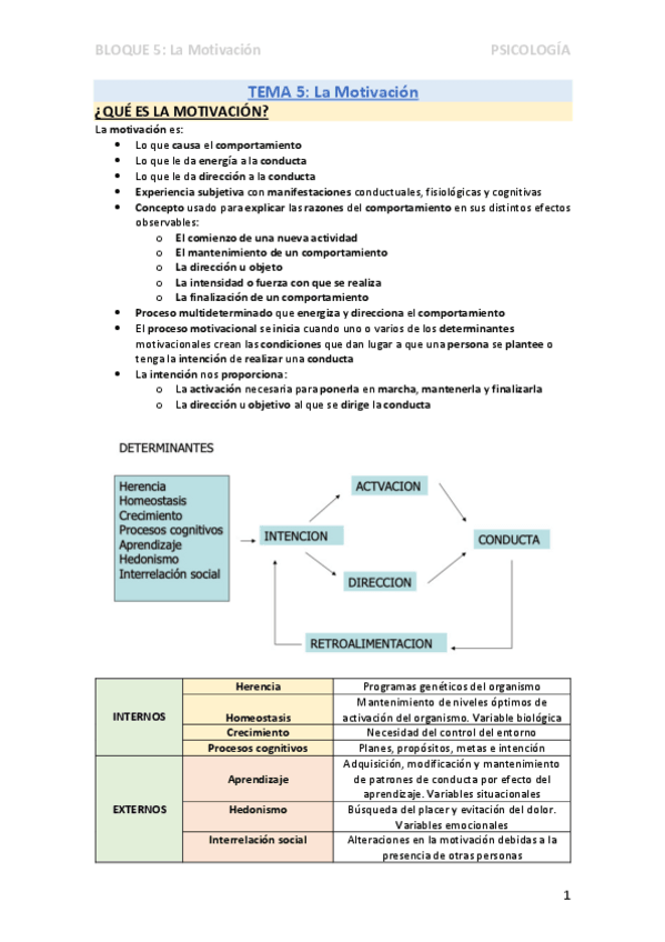 Miniatura del documento TEMA-5-MOTIVACION.pdf